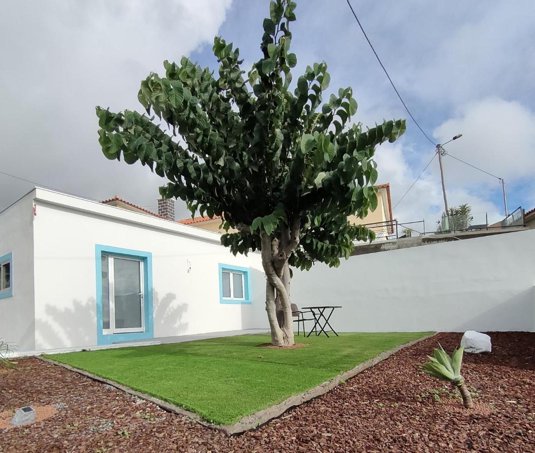 Willa Madeira Blue House Calheta  Zewnętrze zdjęcie